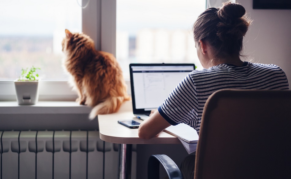 Gesundes Arbeiten im Homeoffice: So geht es 