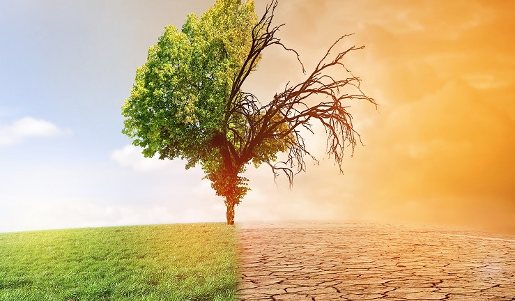 Ergebnisse einer Umfrage: Welche Auswirkungen hat der Klimawandel auf die Sicherheit und Gesundheit bei der Arbeit?